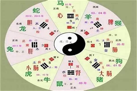 升字五行|五行汉字属性查询